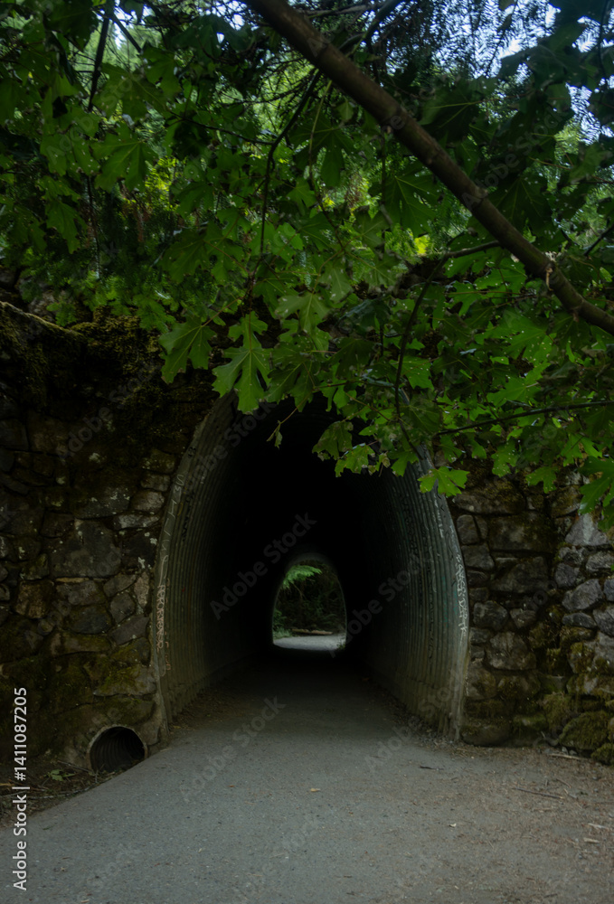Tunnel Under The Road On The Trail Up Mount Storm King
