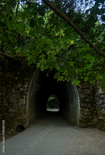 Obraz na płótnie Tunnel Under The Road On The Trail Up Mount Storm King w salonie
