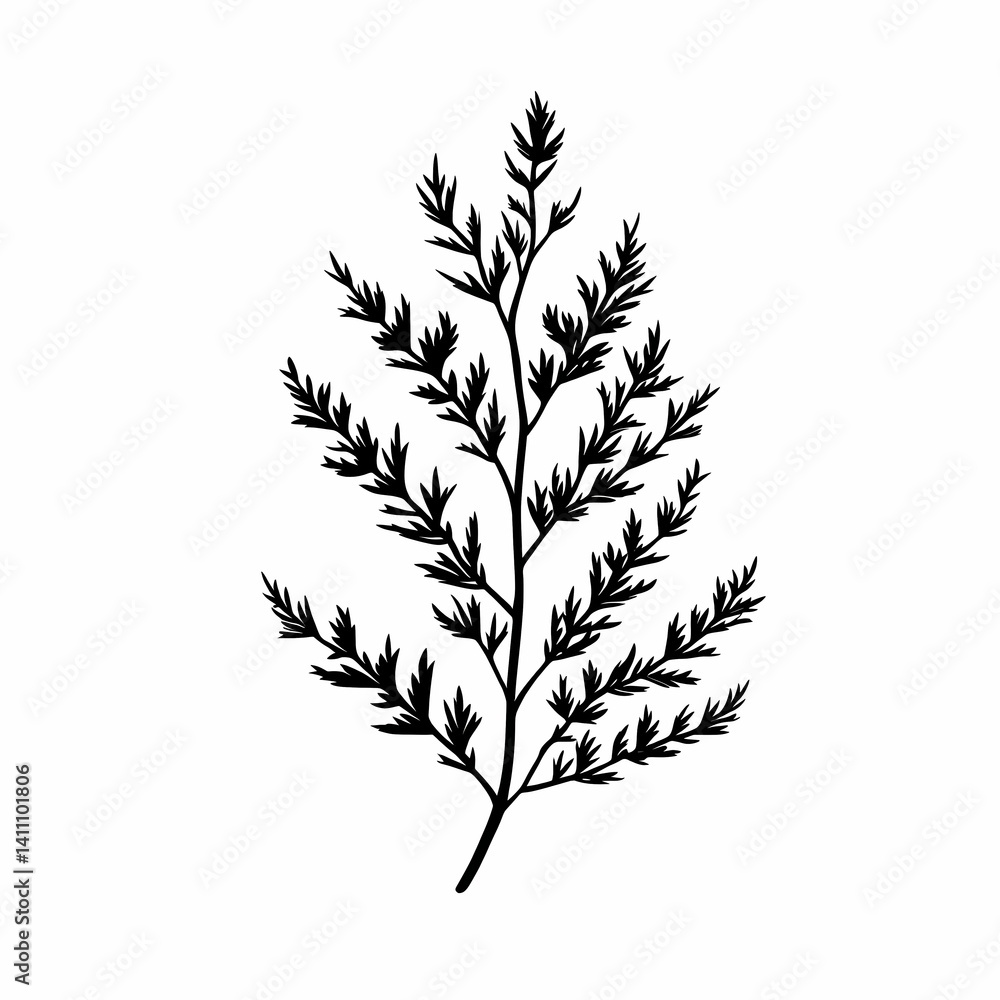 Black and White Botanical Silhouette of Tree Branch with Leaf Patterns - Nature Illustration for Eco-Friendly Design and Landscaping Black and White Botanical Silhouette of Tree Branch with Leaf Patterns - Nature Illustration for Eco-Friendly Design and Landscaping