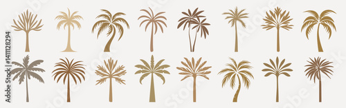 Stylized palm tree silhouettes collection, isolated vector set