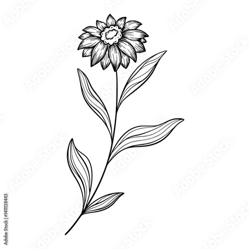 Cute line art leaf icon illustration