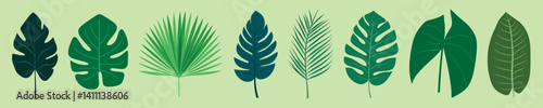 Tropical leaves vector illustration, isolated vector set