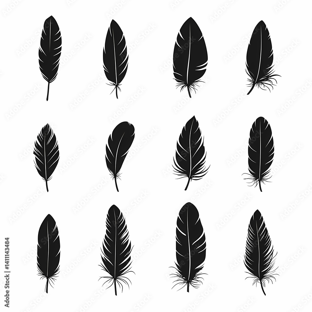 Elegant Black Feathers Illustration Vector: Delicate Nature-Inspired Artwork for Chic Interior Decor Elegant Black Feathers Illustration Vector: Delicate Nature-Inspired Artwork for Chic Interior Decor