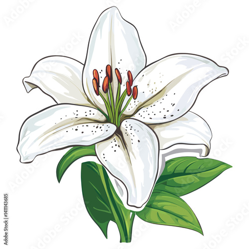 White lily sticker vector illustration flower plant vector