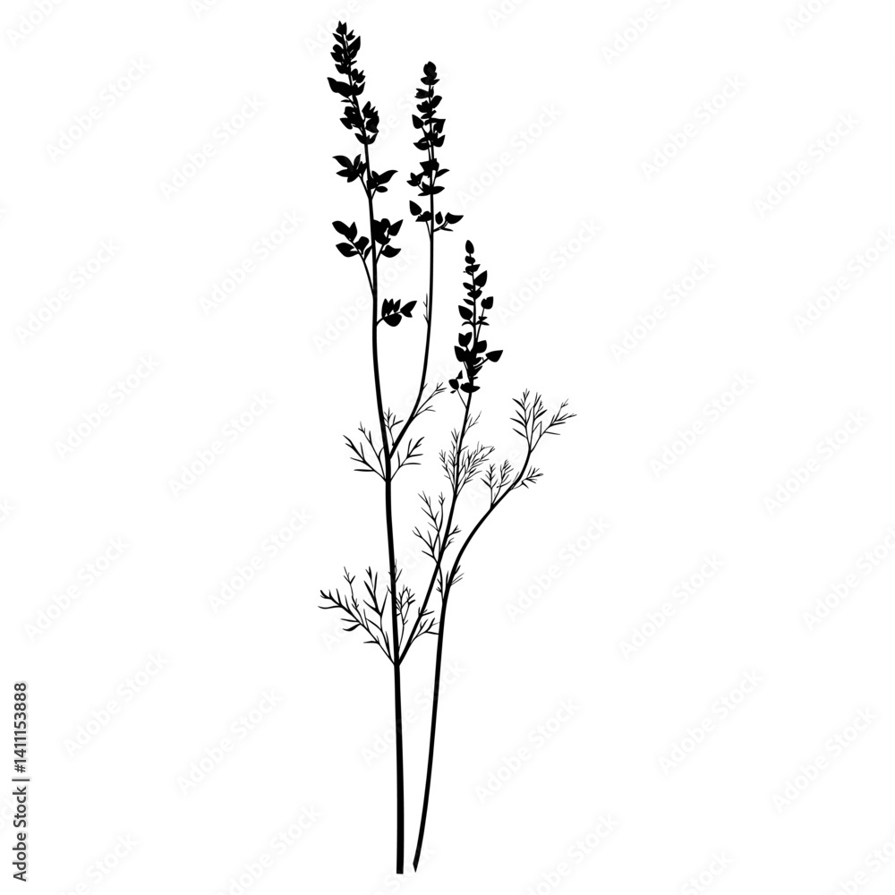 Wild flower Agrimony illustration silhouette minimalist vector Wild flower Agrimony illustration silhouette minimalist vector