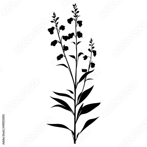 Wild flower Beardtongue illustration simple design vector