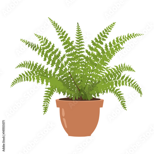 Potted fern plant illustration pot terracotta vector