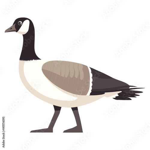 Vector illustration of Canada Goose goose animal bird vector
