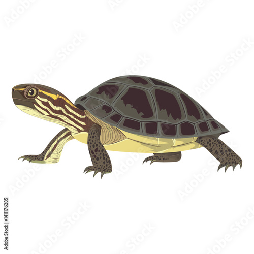 Illustration of European Pond Turtle turtle reptile animal vector