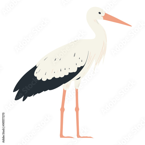 Illustration of White Stork stork bird waterfowl vector