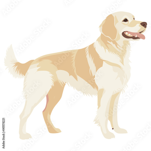 Dog illustration retriever animal vector