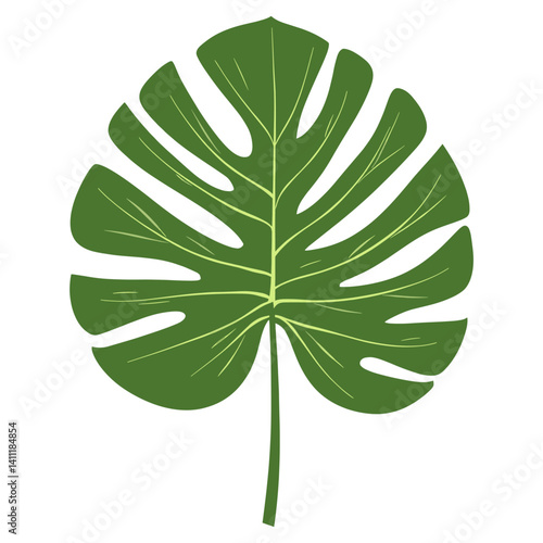 Green tropical palm leaf illustration plant botanical vector