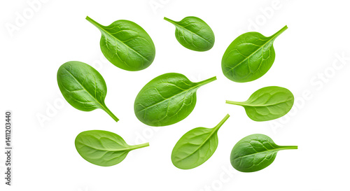 Spinach Leaves Isolated on Transparent Background

