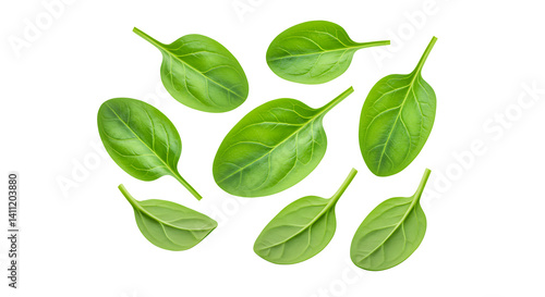 Spinach Leaves Isolated on Transparent Background

