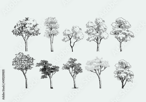 Set od trees line drawing vector illustration. Trees elements outline symbolo for architecture and nature landscape.