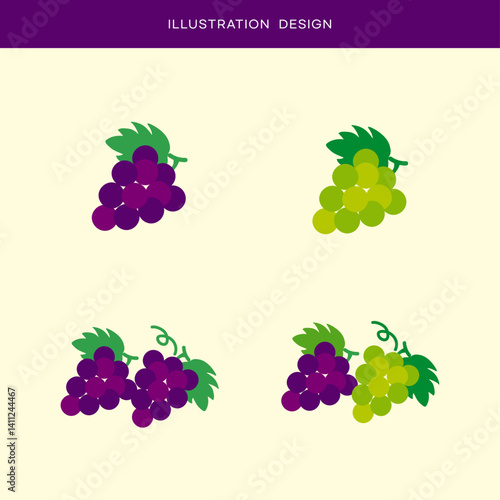 포도 과일 벡터
