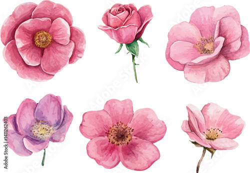 Wallpaper Mural Hand-Painted Pink Rose – Watercolor Floral Clipart for Crafts Torontodigital.ca