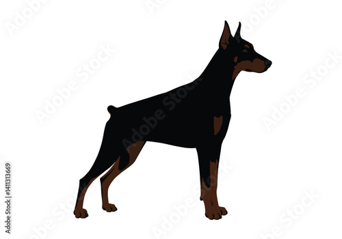 Doberman pinscher silhouette. This image showcases the profile of a Doberman pinscher, also referred to as Doberman or guard dog breed. Vector clipart black illustration design.