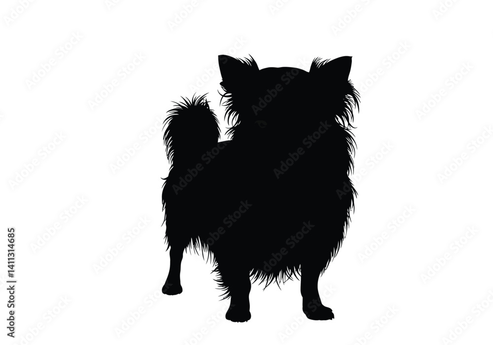 Obraz premium Long hair Chihuahua silhouette. This image shows a long-haired Chihuahua in silhouette, also referred to as a toy dog or furry companion. Vector clipart black illustration design.