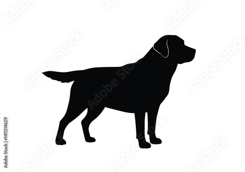 Labrador dog silhouette. This image shows the profile of a standing Labrador Retriever, also referred to as a friendly companion or loyal canine. Vector clipart black illustration design.