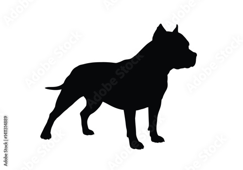 Pitbull dog silhouette. This image shows a black silhouette of a Pitbull dog standing, also referred to as a muscular canine or loyal companion. Vector clipart black illustration design.