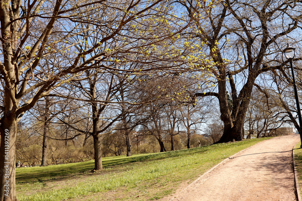 Park