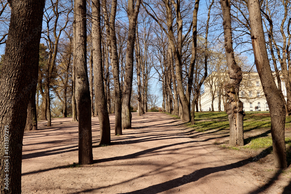 Park