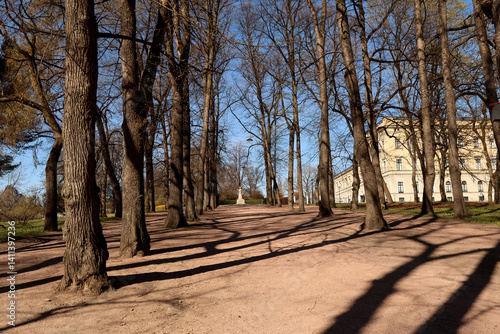 Obraz na płótnie Park w salonie