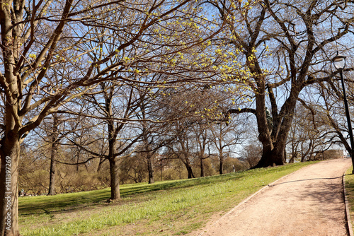 Obraz na płótnie Park w salonie
