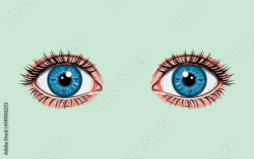 Vector illustration of a pair of human eyes with blue-coloured eyeballs
