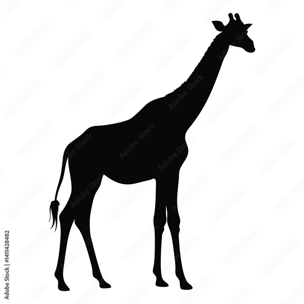 Fototapeta premium Giraffe vector silhouette