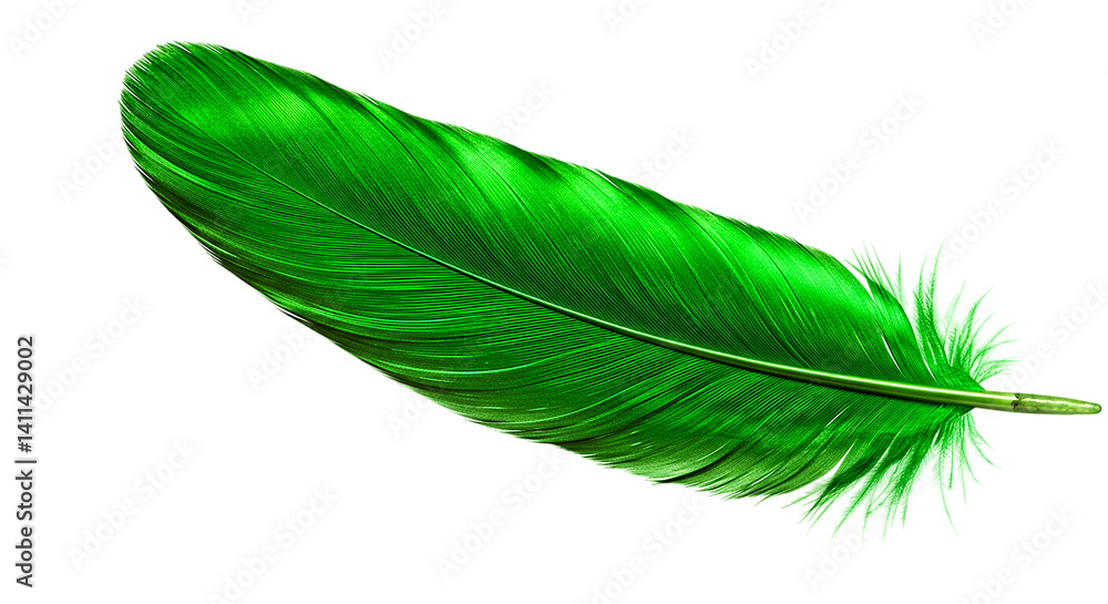 A vibrant green feather with intricate details isolated against a black background creating contrast A vibrant green feather with intricate details isolated against a black background creating contrast