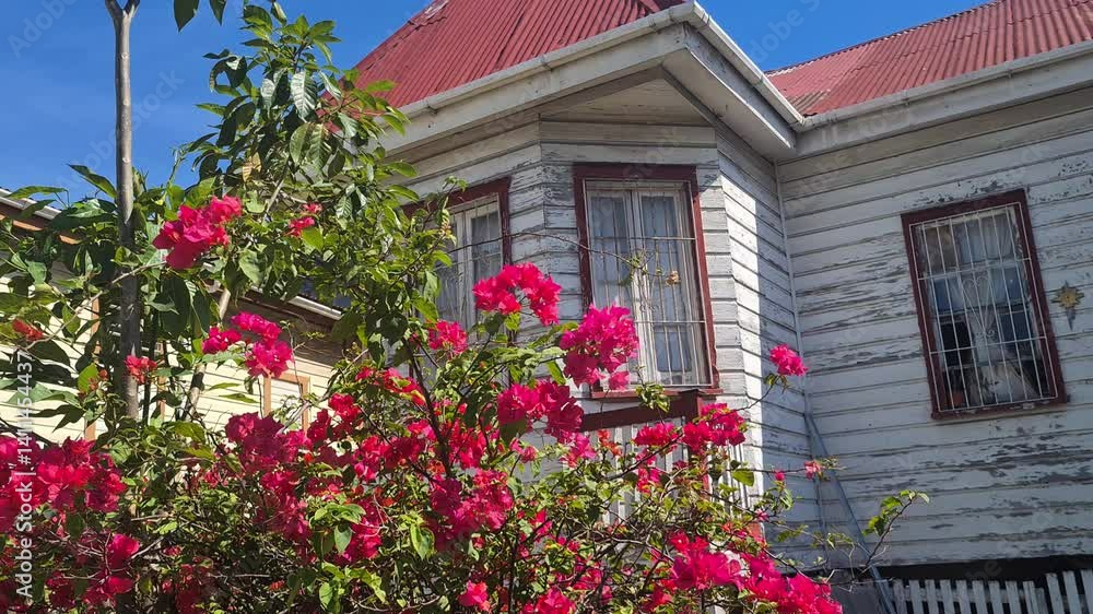 Exterior of Authentic House in Belize City, Belize, White Wooden Walls and Roses on Hot Sunny Day Exterior of Authentic House in Belize City, Belize, White Wooden Walls and Roses on Hot Sunny Day
