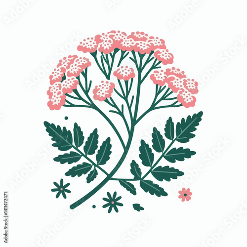 plant, yarrow, background, blossom, flower, nature, herb, medicine, garden, white, bloom, natural, leaf, green, floral, achillea millefolium, beautiful, achillea, herbal, petal, milfoil, blooming, flo