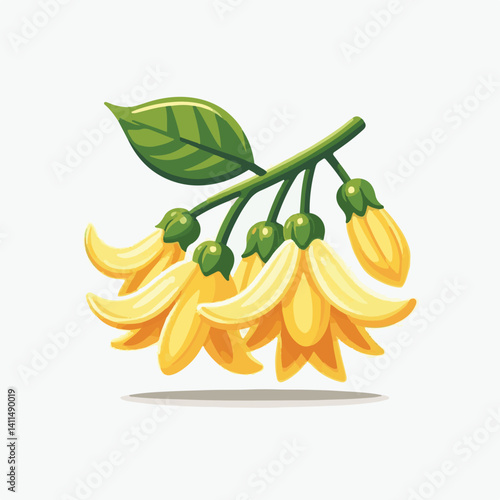 plant, blossom, nature, flora, bloom, aromatherapy, flower, natural, aroma, yellow, leaf, tropical, beauty, cananga, perfume, green, isolated, botanical, background, spa, essential, fragrance, organic