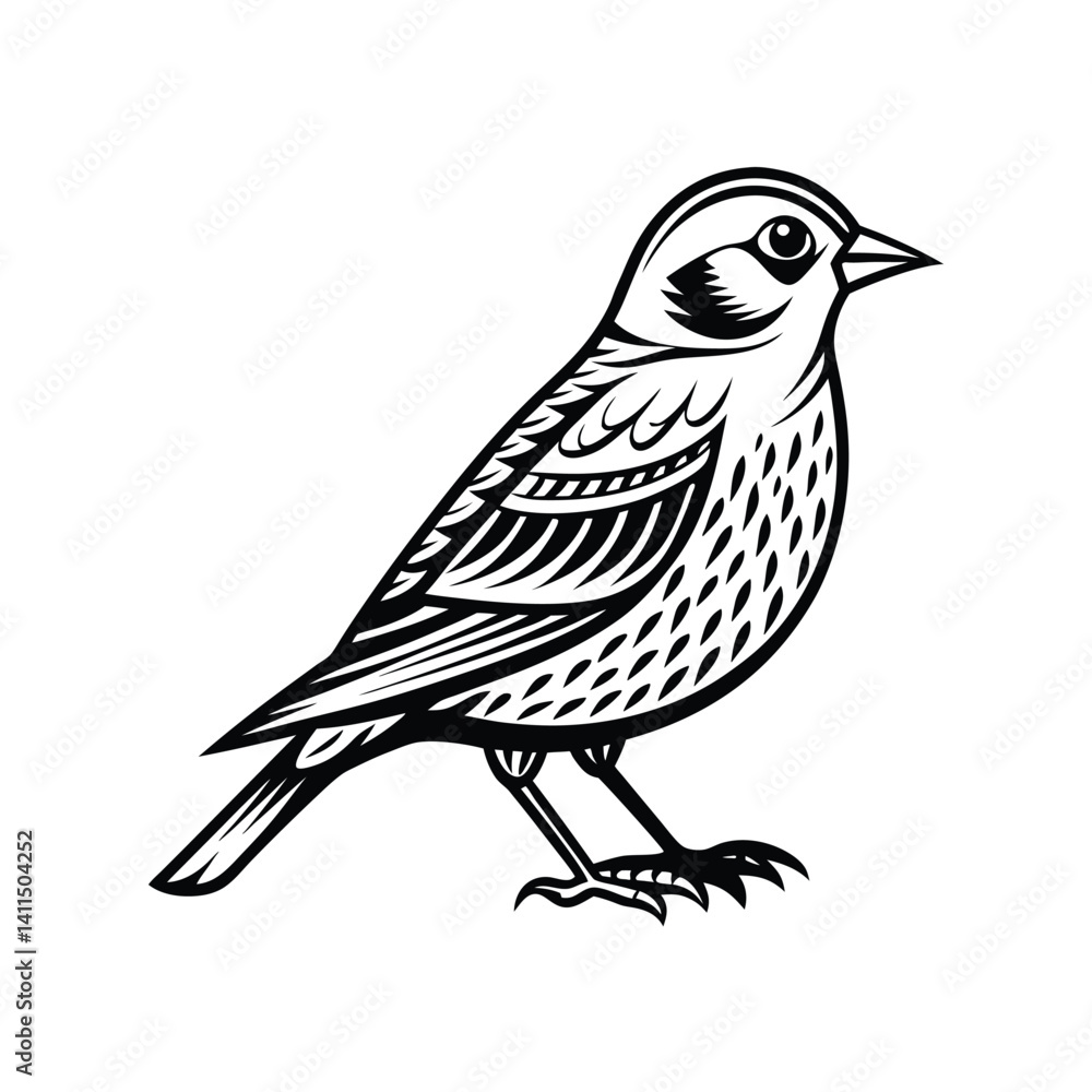Red-billed quelea silhouette, Vector Art & Illustration, quela vector on a white background Red-billed quelea silhouette, Vector Art & Illustration, quela vector on a white background