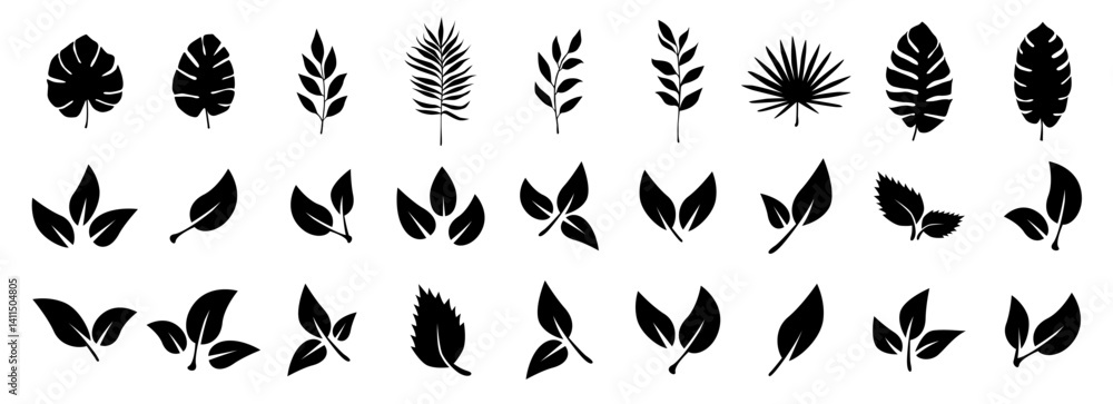 Obraz premium Leaves of trees and plants. of black leaf icons. Tropical leaves. Leaves on white background. Ecology. Vector illustration.