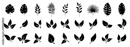 Leaves of trees and plants.  of black leaf icons.  Tropical leaves.  Leaves on white background. Ecology. Vector illustration.