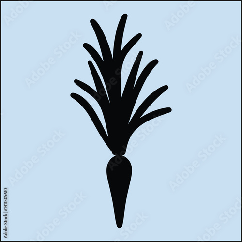 Silhouette of a Carrot, Root