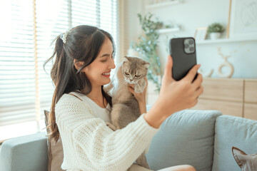 Smiling asian woman taking selfie with adorable Scottish fold cat at home on couch – Pet love and domestic life concept.