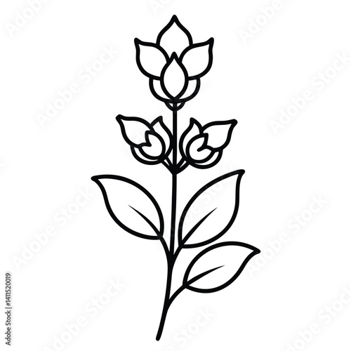 Monkshood flower line art vector on white background
