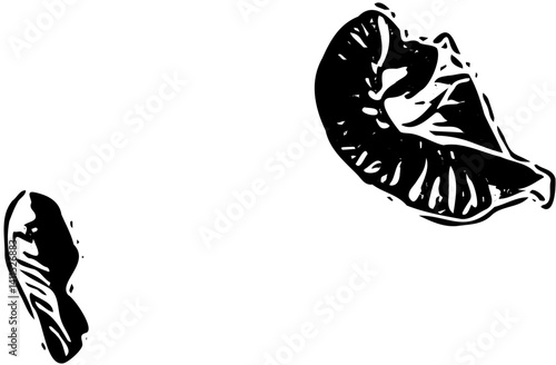 Foto White and black contrast talang blossom