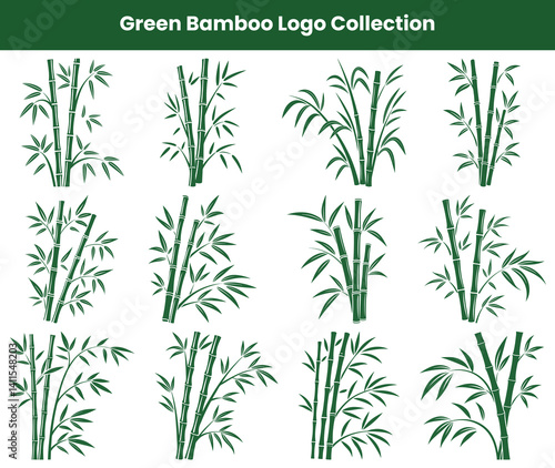 Green Bamboo Stalks Collection with Leaves on a White Background, Botanical Elements