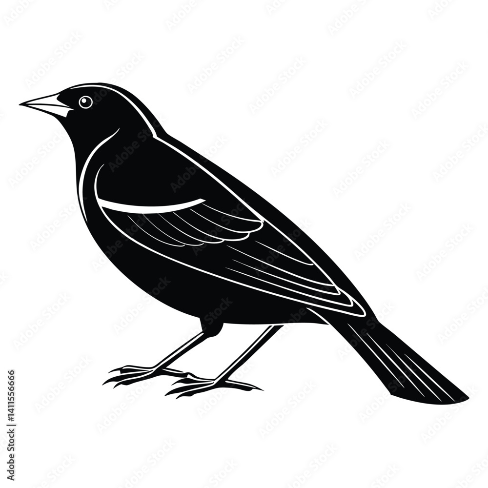 Fototapeta premium Red-winged blackbird silhouette, bird silhouette on a white background