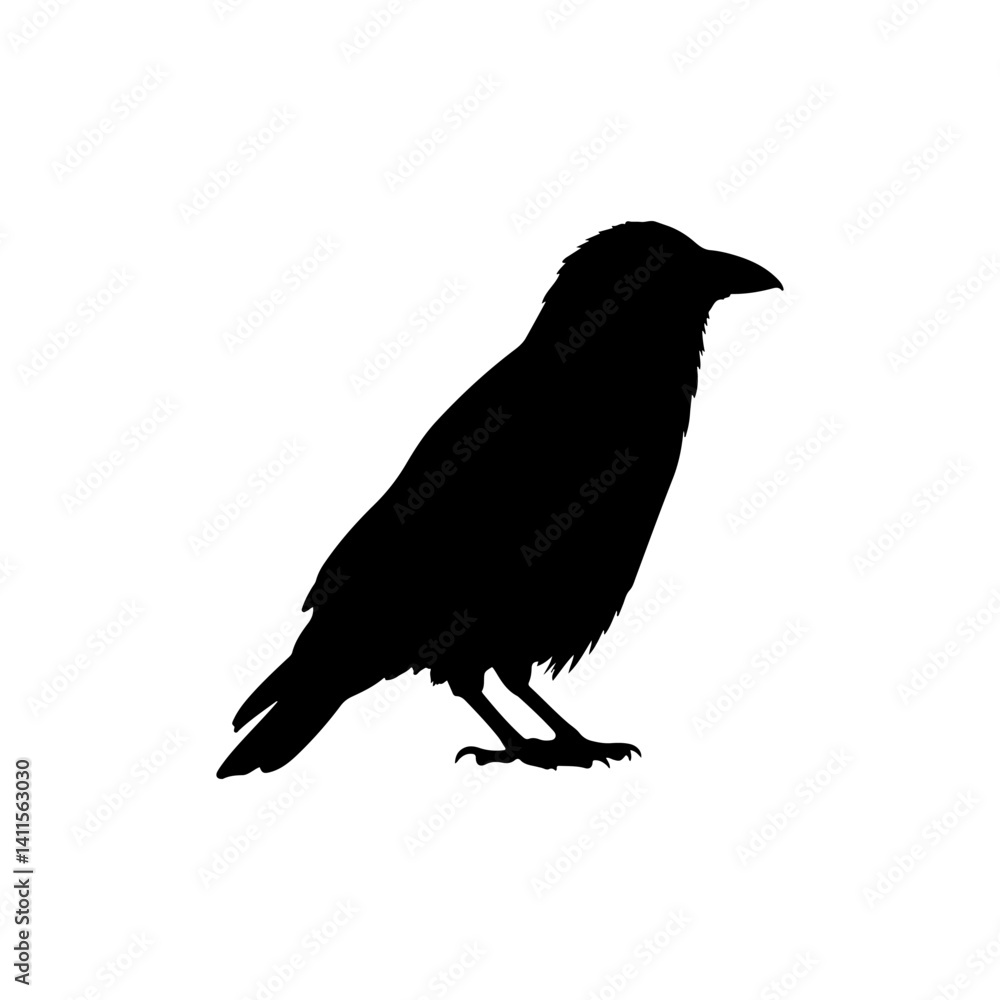 Fototapeta premium crow silhouette icon vector flat design.