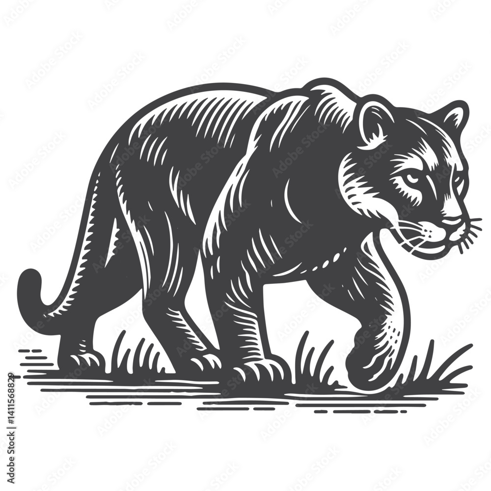 Obraz premium Simple Mountain Lion Stalking Vector Icon Design – Vintage Retro Logo & Illustration