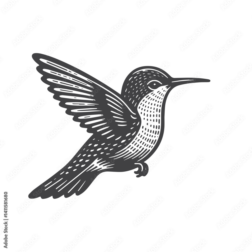 Fototapeta premium Simple Hummingbird Flying Vector Icon Design – Vintage Retro Logo & Illustration