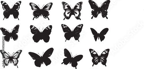 Set of Various Butterfly Silhouettes