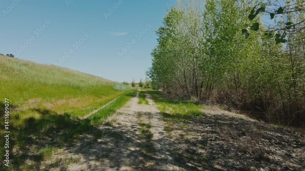 Scenic view of an unpaved road on a hill with green vegetation under the sunny sky Scenic view of an unpaved road on a hill with green vegetation under the sunny sky