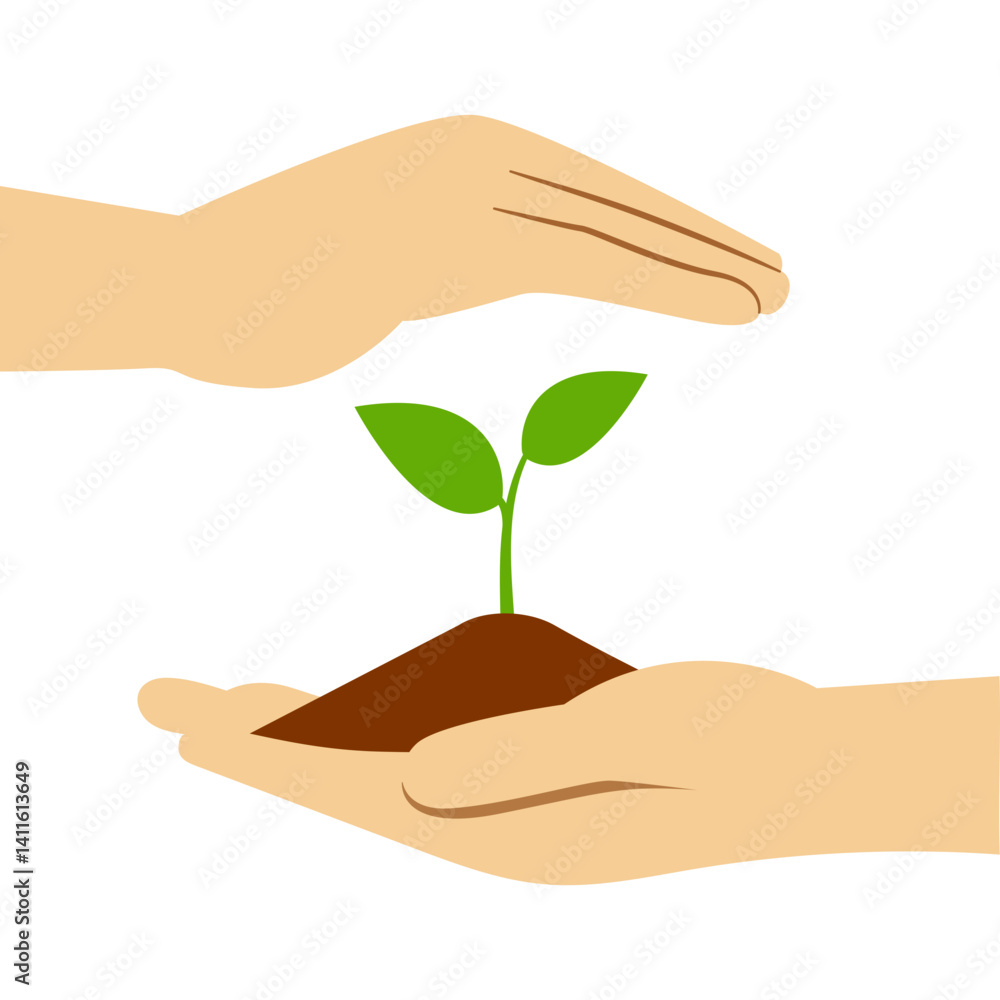 Reforestation Illustration Reforestation Illustration